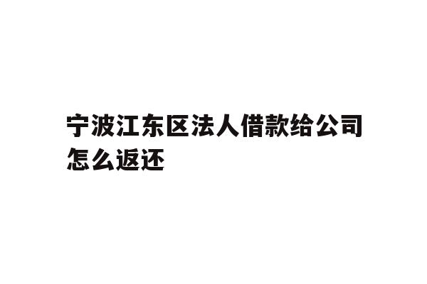 详细阅读:宁波江东区法人借款给公司怎么返还 宁波江东区法人借款给公司怎么返还
