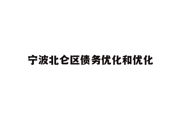 详细阅读:宁波北仑区债务优化和优化 宁波北仑区债务优化和优化