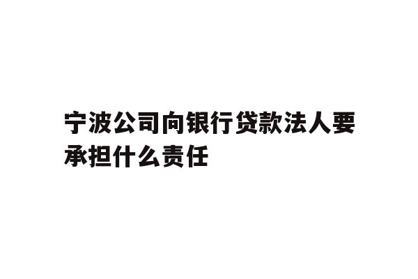 宁波公司向银行贷款法人要承担什么责任