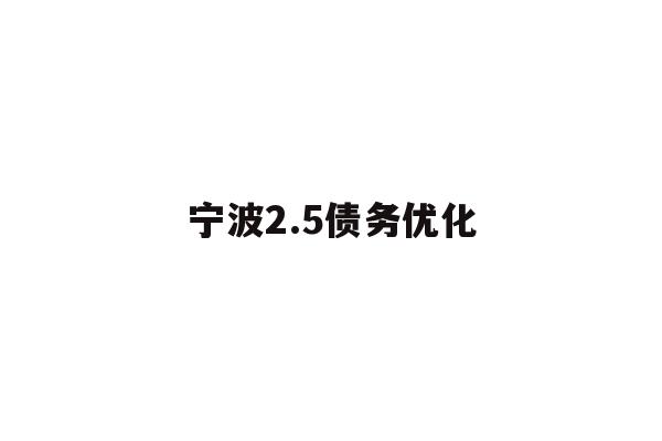 宁波2.5债务优化