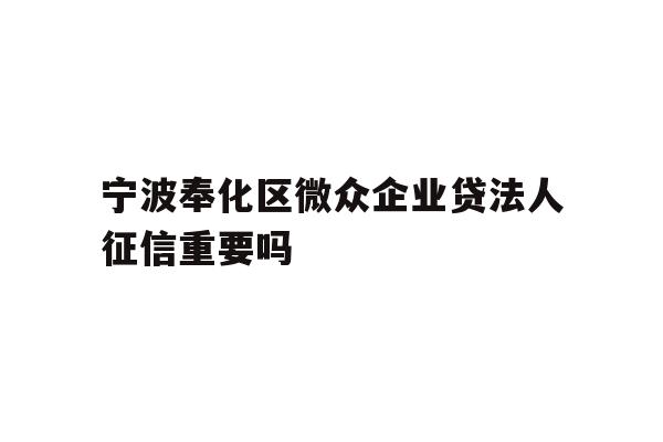 宁波奉化区微众企业贷法人征信重要吗