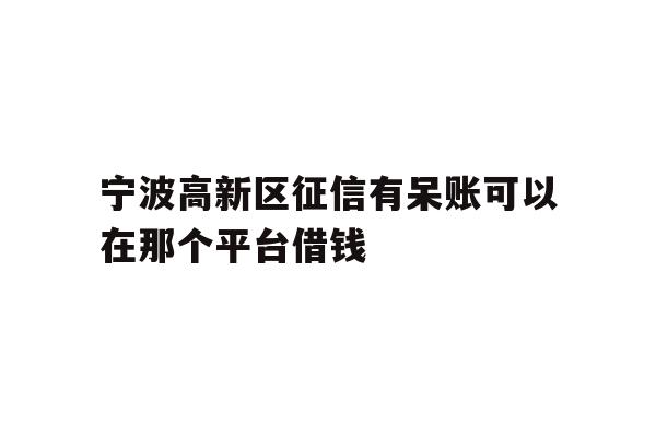 宁波高新区征信有呆账可以在那个平台借钱