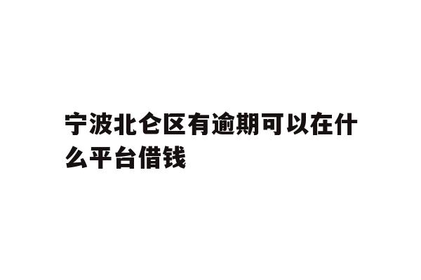 宁波北仑区有逾期可以在什么平台借钱