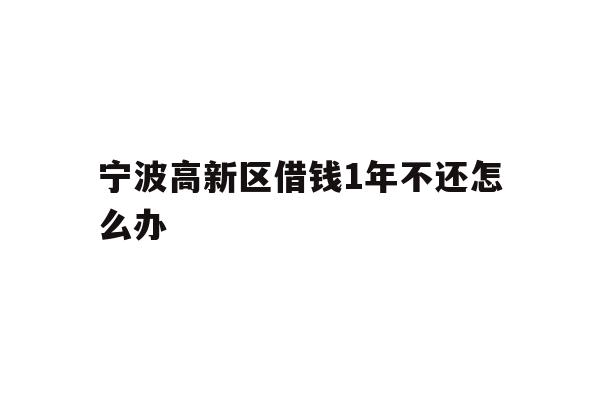 宁波高新区借钱1年不还怎么办