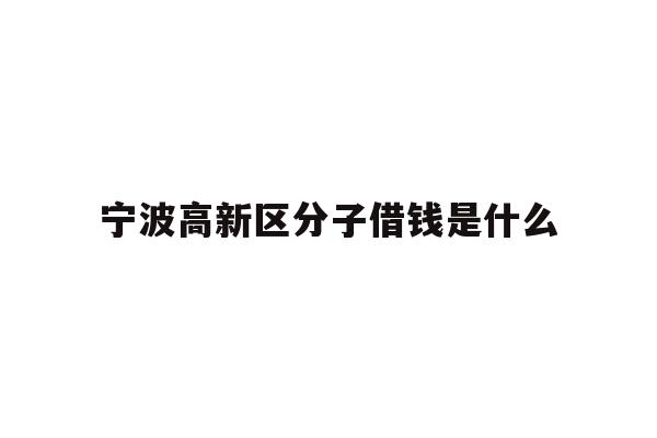 宁波高新区分子借钱是什么